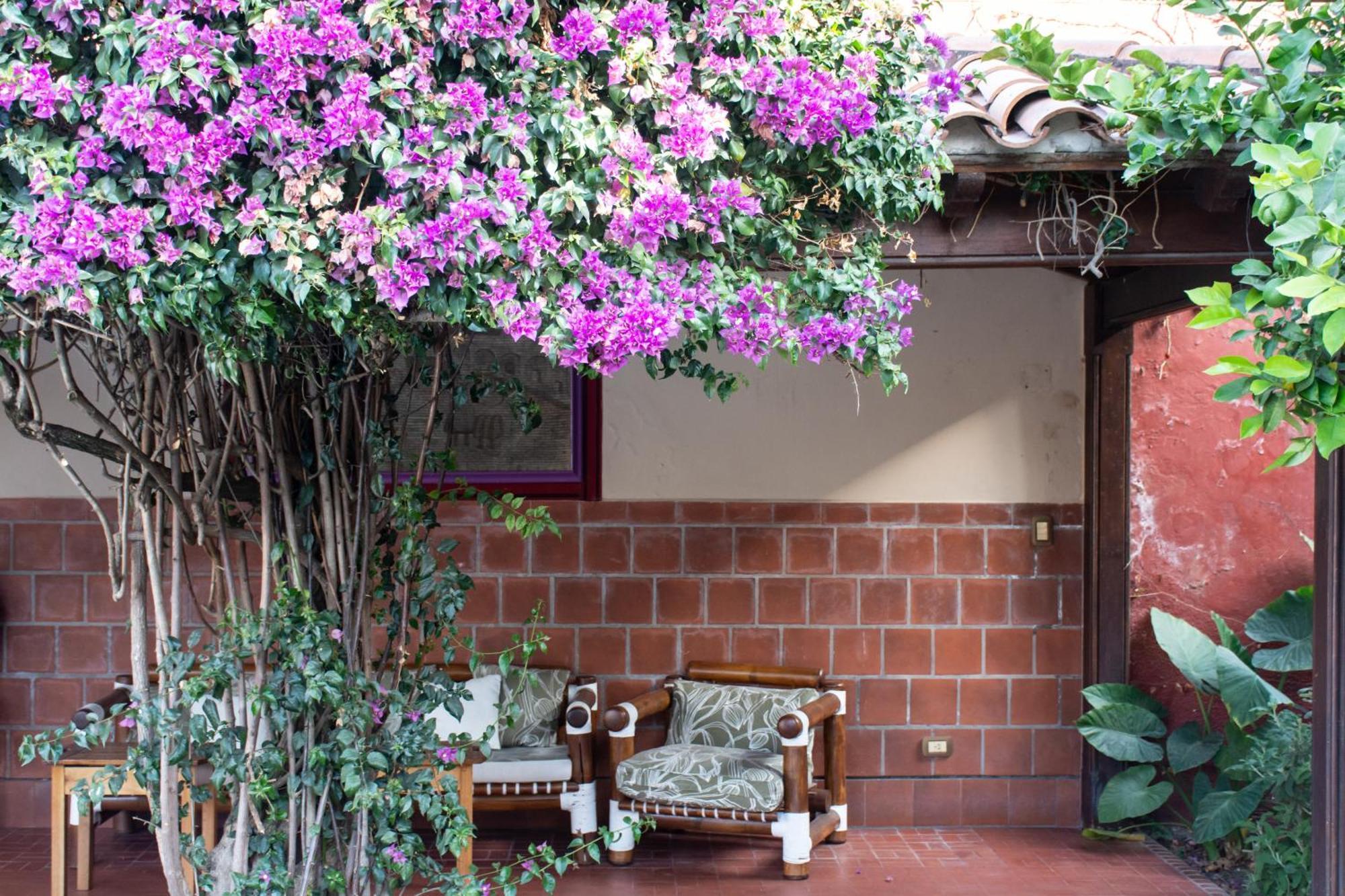 Hotel Boutique La Candela Salta Bagian luar foto